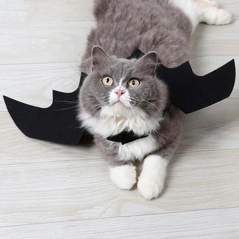 Black Bat Wings Pet Costume for Cats & Small Dogs – Halloween Cosplay Outfit