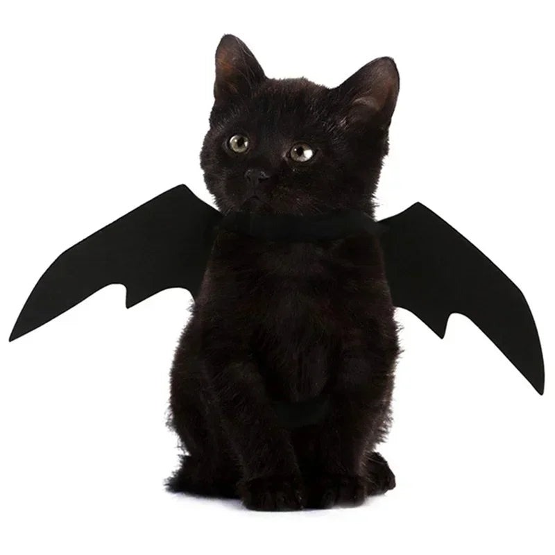 Black Bat Wings Pet Costume for Cats & Small Dogs – Halloween Cosplay Outfit