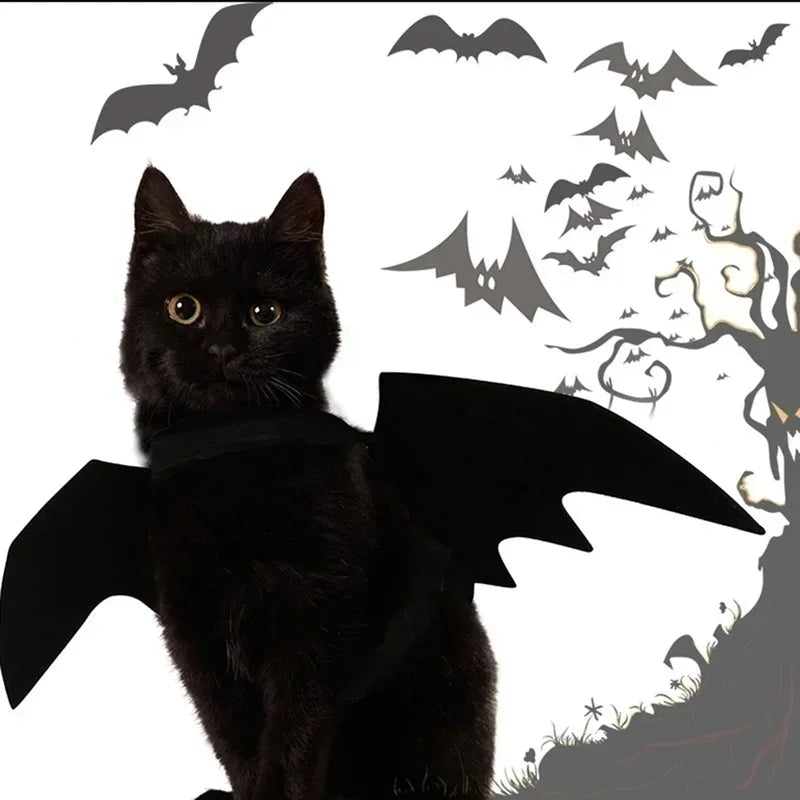 Black Bat Wings Pet Costume for Cats & Small Dogs – Halloween Cosplay Outfit